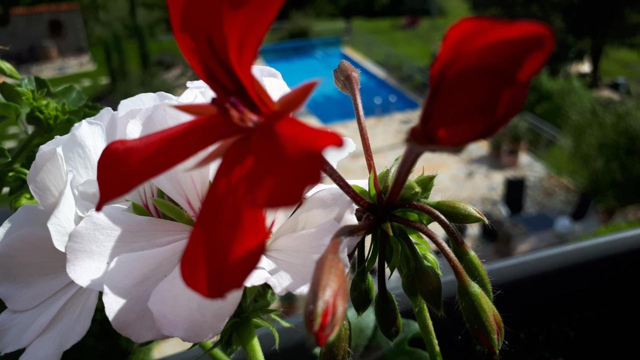 Pension Am Weinberg Bed & Breakfast Mainstockheim المظهر الخارجي الصورة