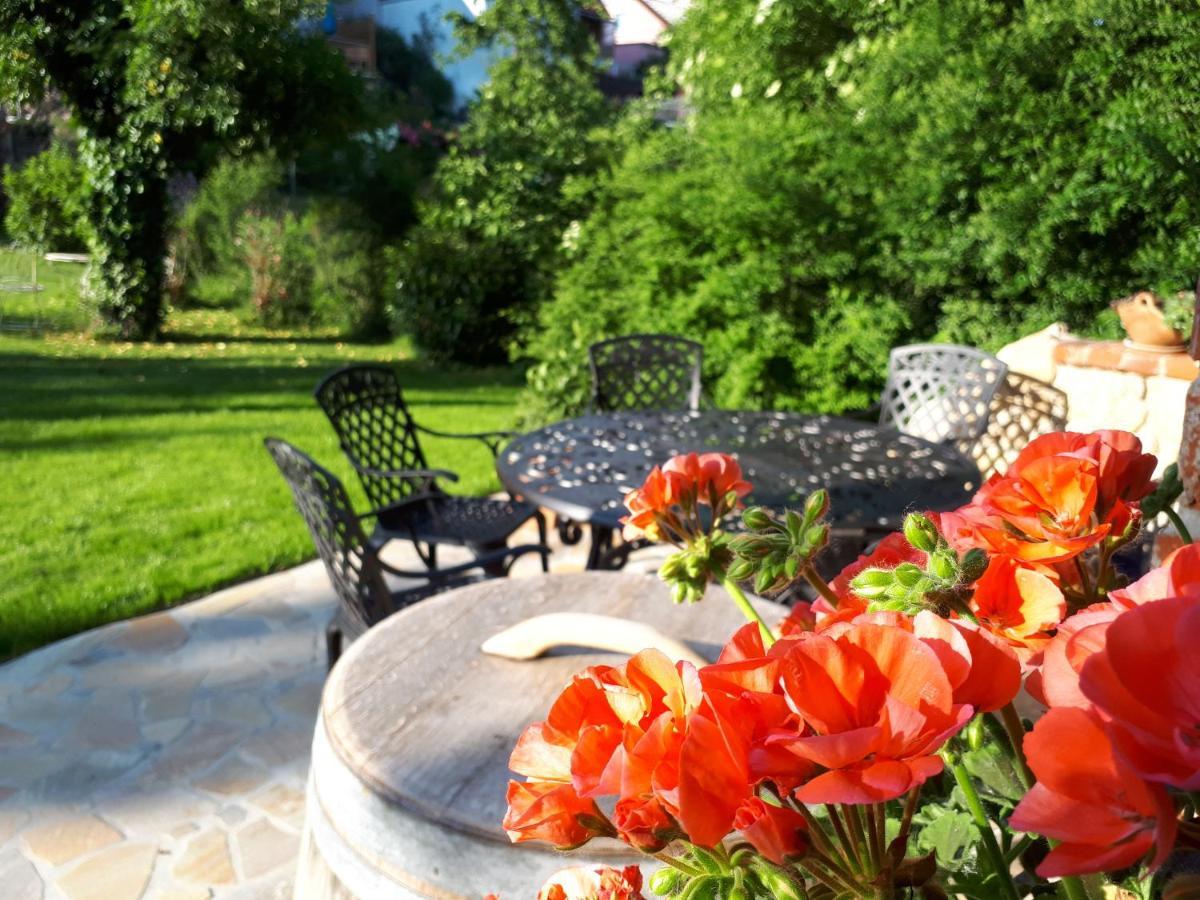 Pension Am Weinberg Bed & Breakfast Mainstockheim المظهر الخارجي الصورة