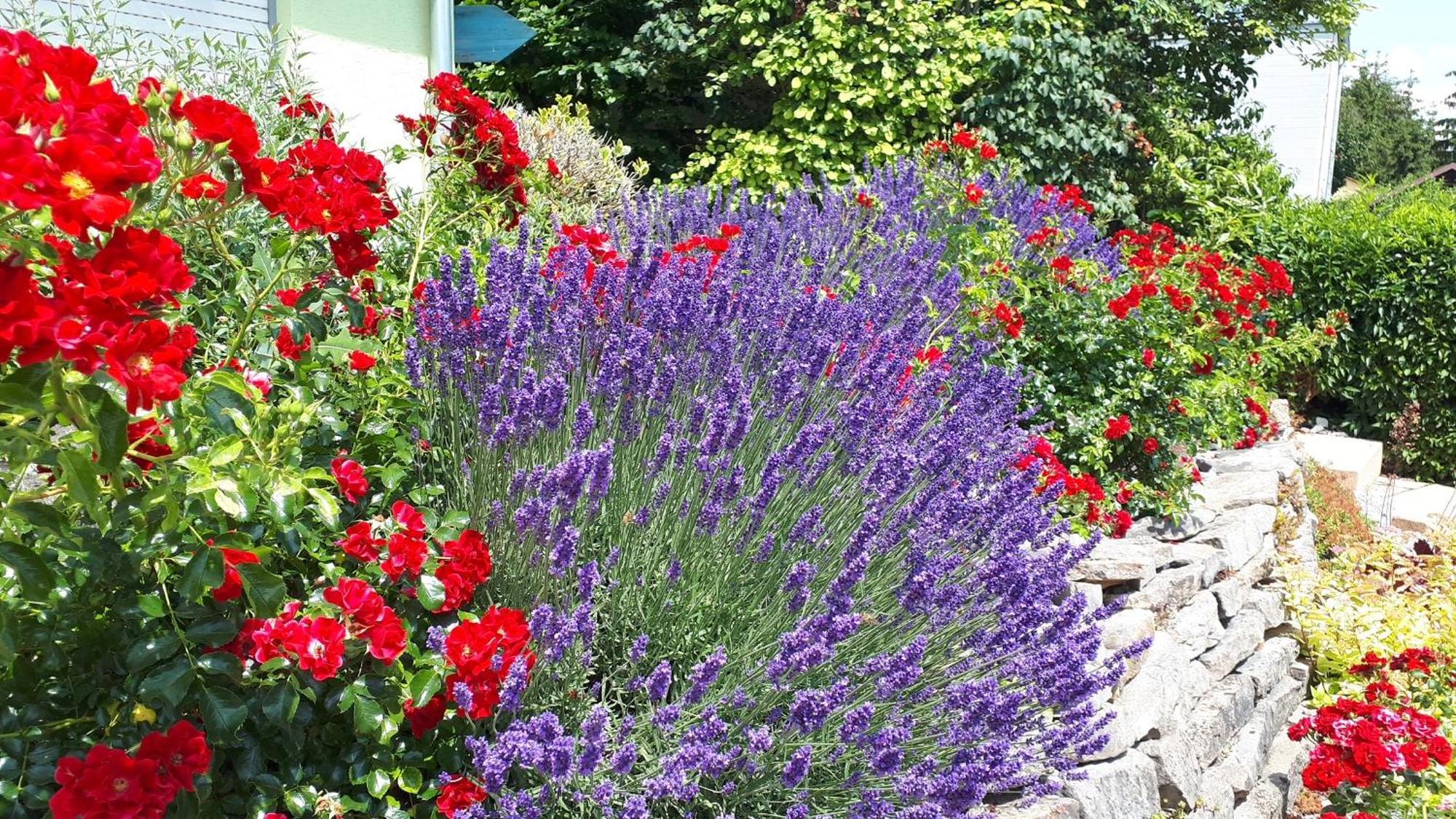 Pension Am Weinberg Bed & Breakfast Mainstockheim المظهر الخارجي الصورة