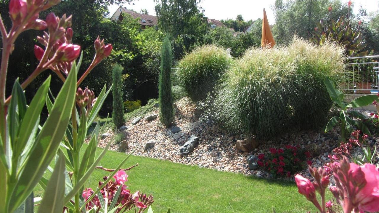 Pension Am Weinberg Bed & Breakfast Mainstockheim المظهر الخارجي الصورة